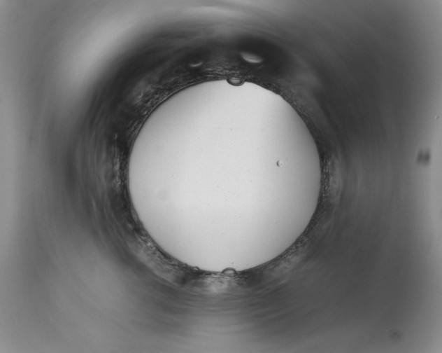 X0000113210762200910011319