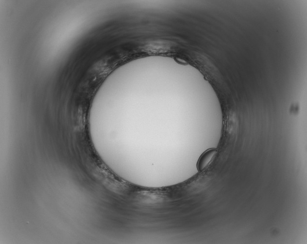 X0000113210763200910011319