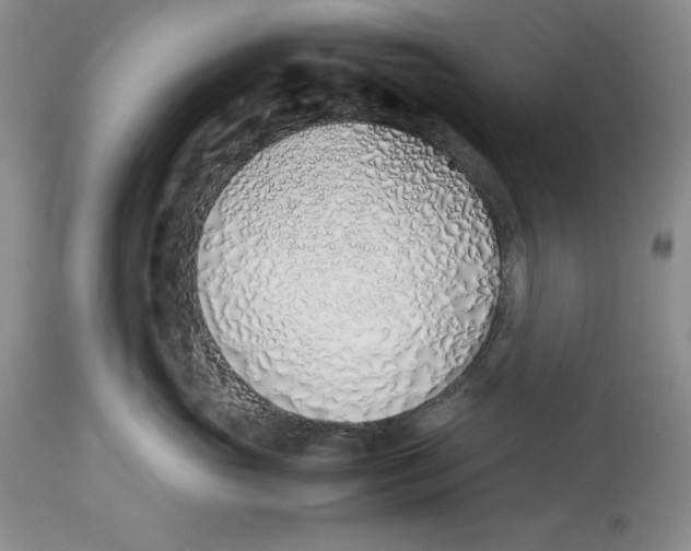 X0000113210765200910011320