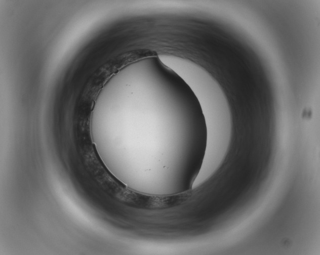 X0000113210766200910011320