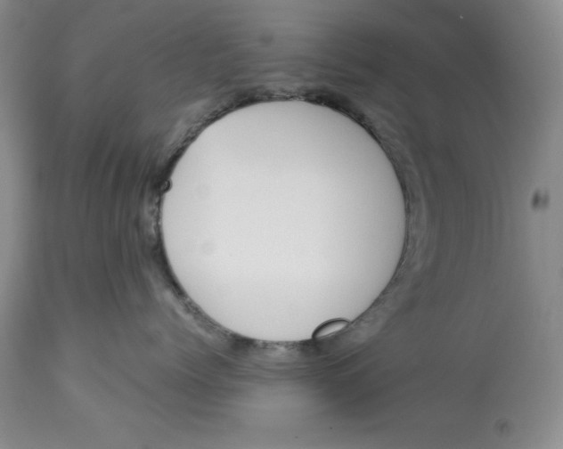 X0000113210768200910011320