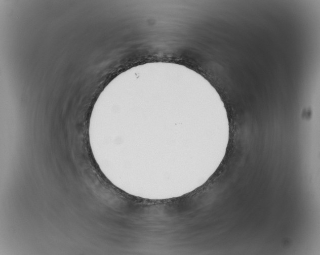 X0000113210769200910011319