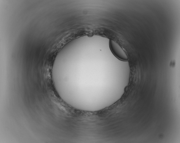 X0000113210770200910011319