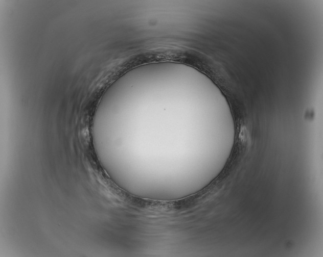 X0000113210771200910011319