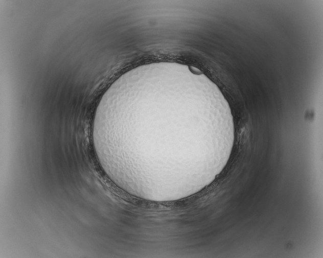 X0000113210772200910011319