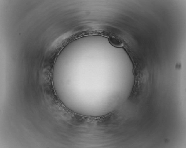 X0000113210773200910011319