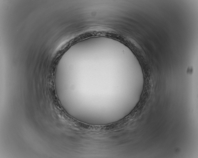 X0000113210775200910011319