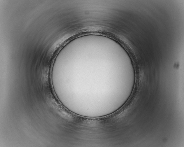 X0000113210778200910011319