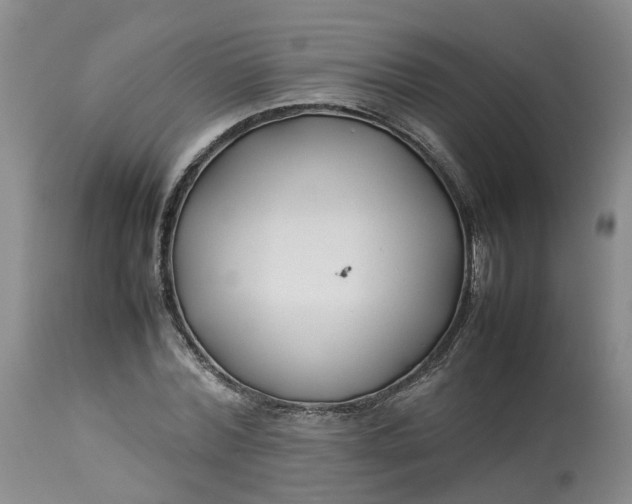 X0000113210780200910011319