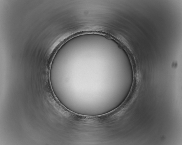 X0000113210781200910011319