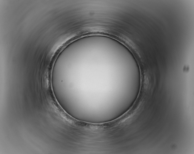 X0000113210782200910011319