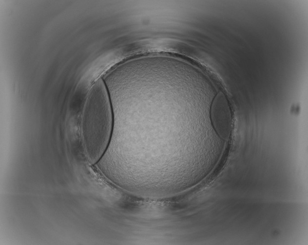 X0000113210785200910011319