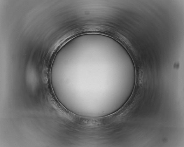 X0000113210786200910011318