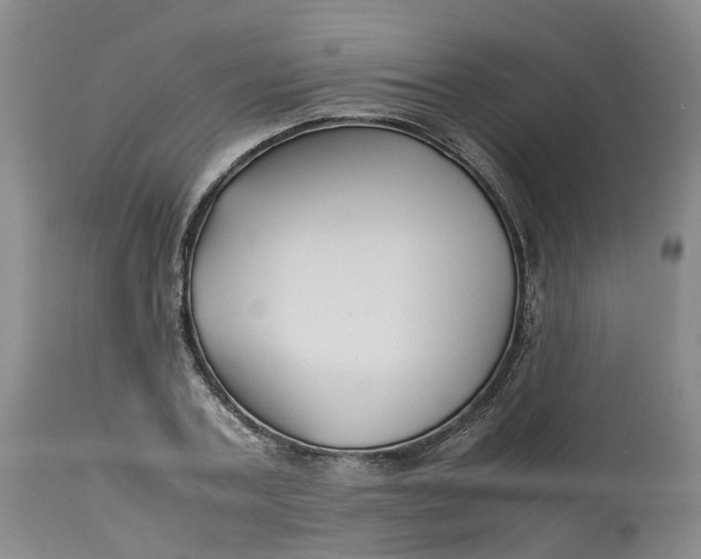 X0000113210787200910011318