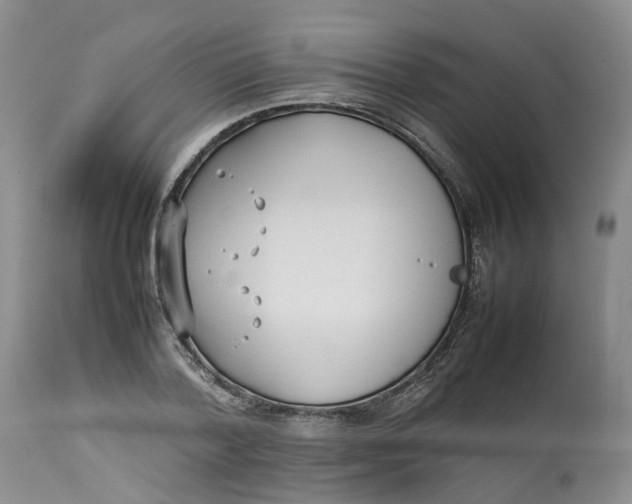 X0000113210788200910011318