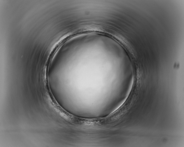 X0000113210790200910011318