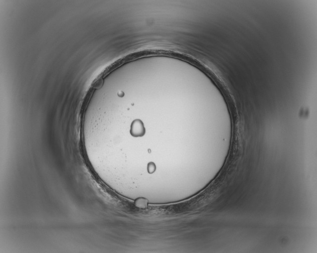 X0000113210791200910011318