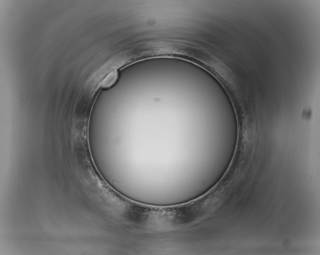 X0000113210793200910011318