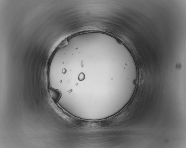 X0000113210796200910011318