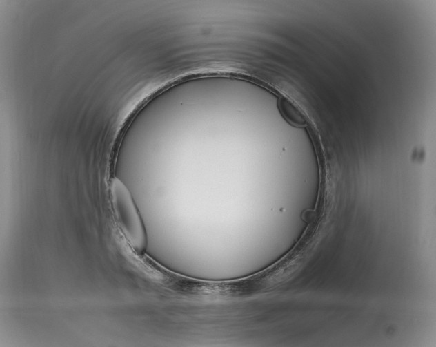 X0000113210797200910011318