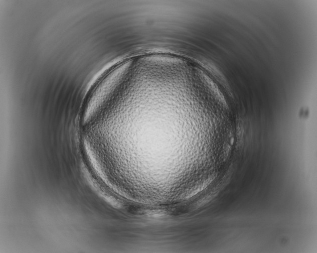 X0000113210798200910011318