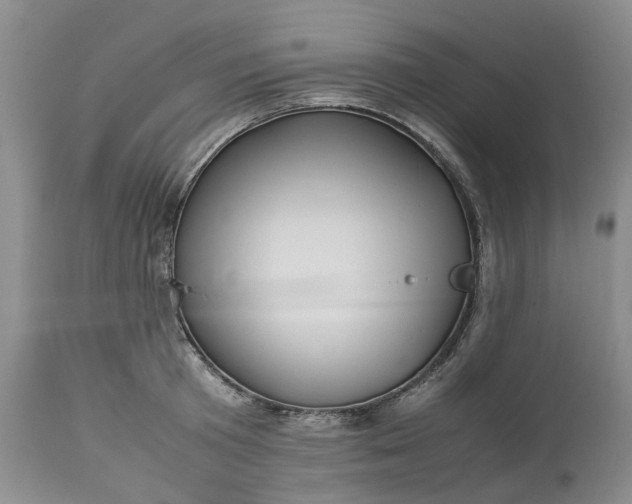 X0000113210801200910011318