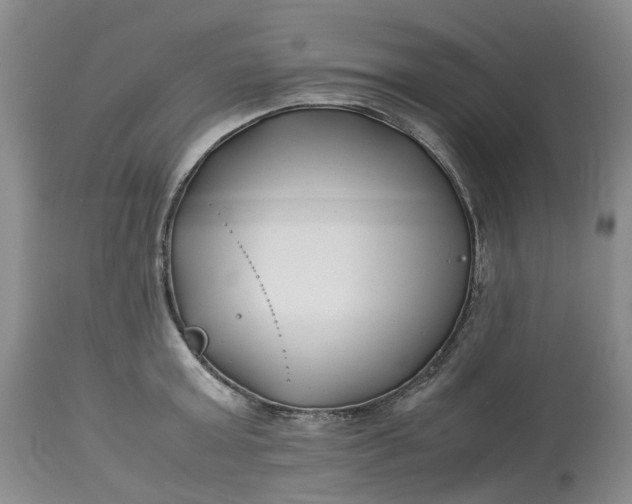 X0000113210803200910011318