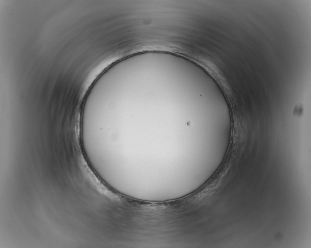 X0000113210804200910011318