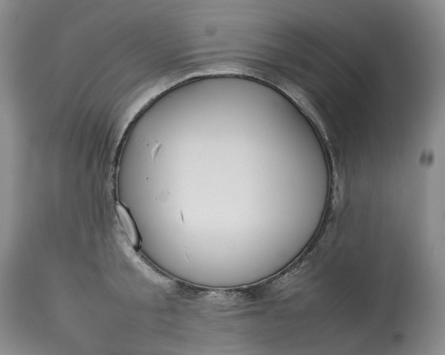 X0000113210805200910011318