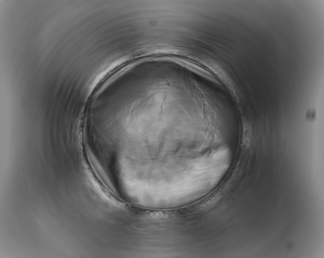 X0000113210806200910011318