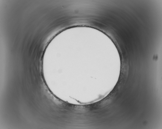 X0000113210807200910011318