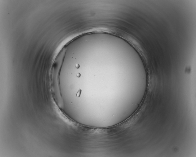 X0000113210808200910011318