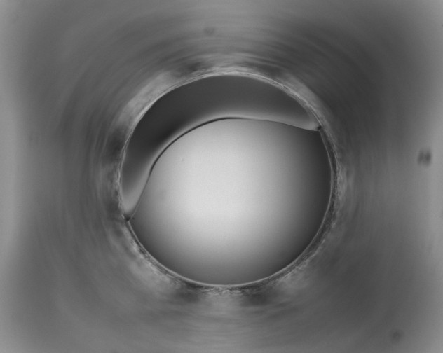 X0000113210809200910011318