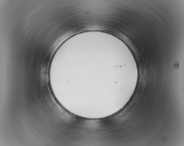 X0000113210810200910011318