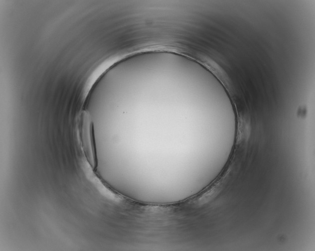 X0000113210812200910011318