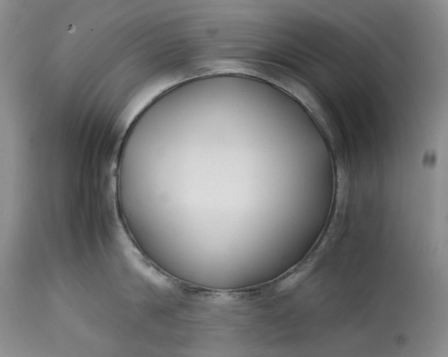 X0000113210814200910011318