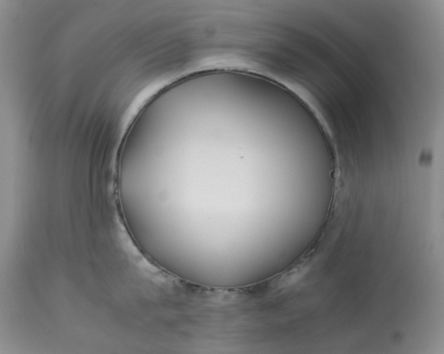 X0000113210815200910011318