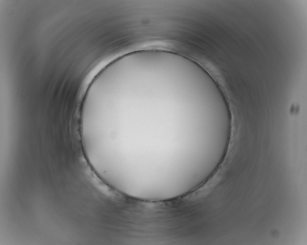 X0000113210816200910011318