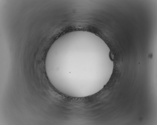 X0000113210817200910011317