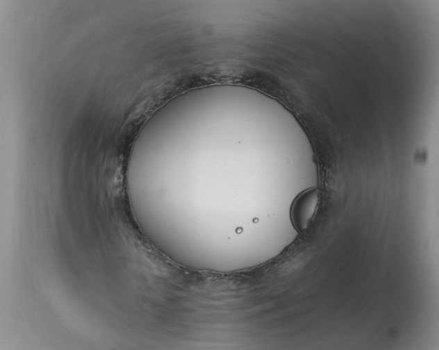 X0000113210818200910011317