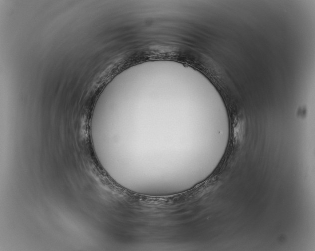 X0000113210819200910011317