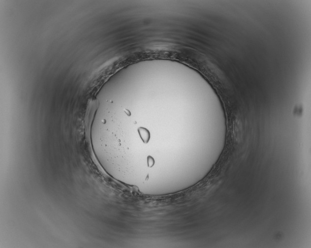 X0000113210821200910011317