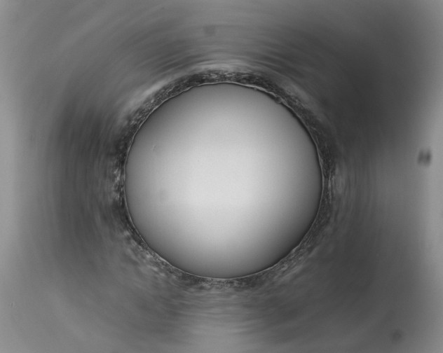 X0000113210822200910011317