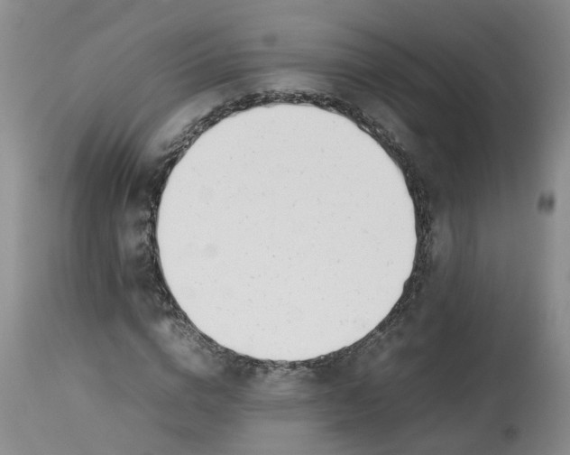 X0000113210824200910011317