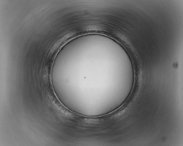 X0000113210825200910011317