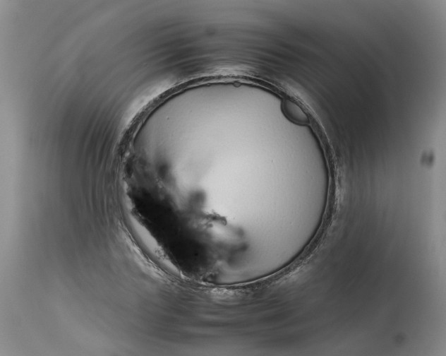 X0000113210827200910011317