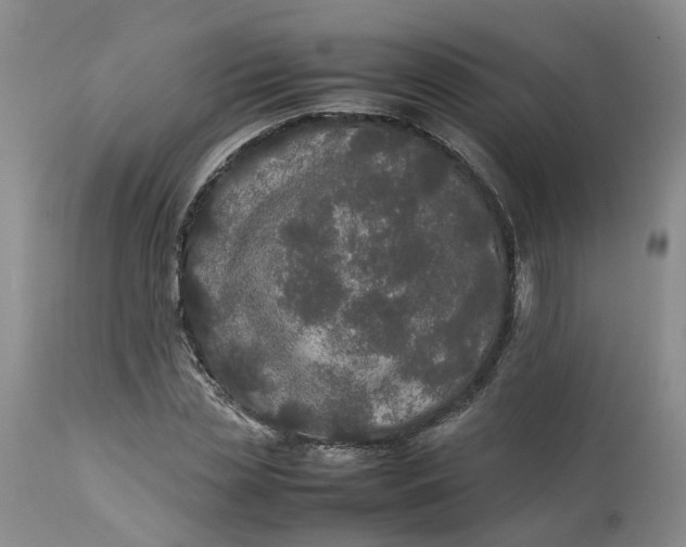 X0000113210829200910011317