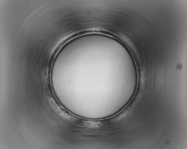 X0000113210831200910011317