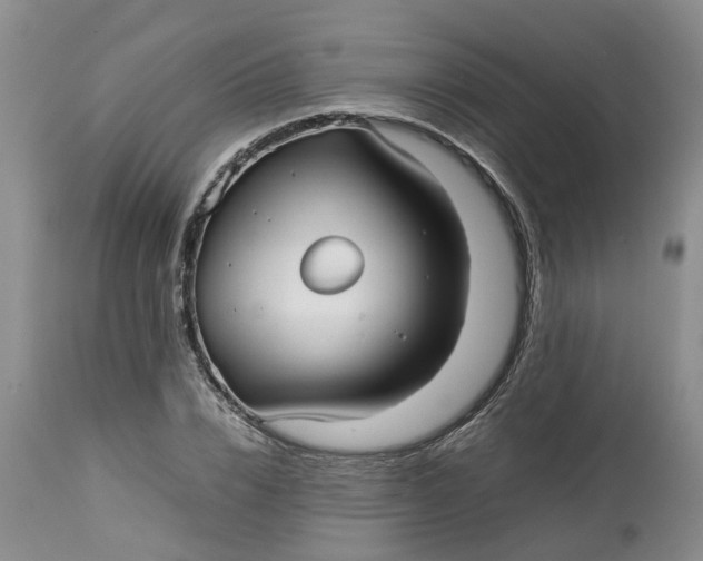 X0000113210832200910011317