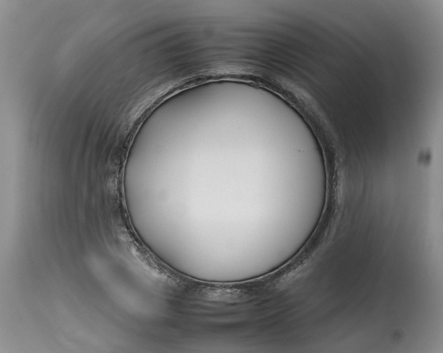 X0000113210833200910011317